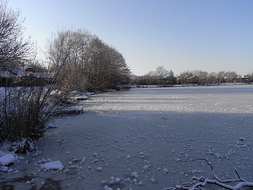 Snow Scene (January 2010)