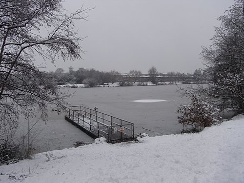 Snow Scene (January 2010)