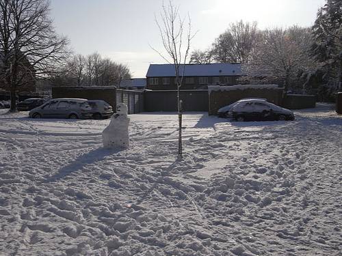 Snow Scene (January 2010)