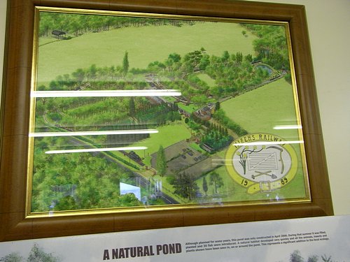 Mizens Railway (Woking)