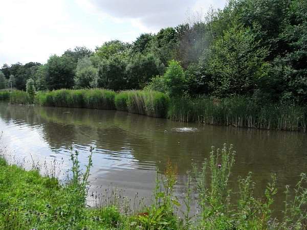 NAM(Nottingham Univ, Jubilee Campus 2016)