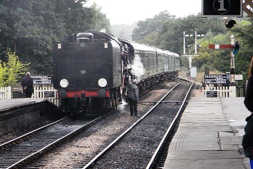 Bluebell Railway (September 2013)