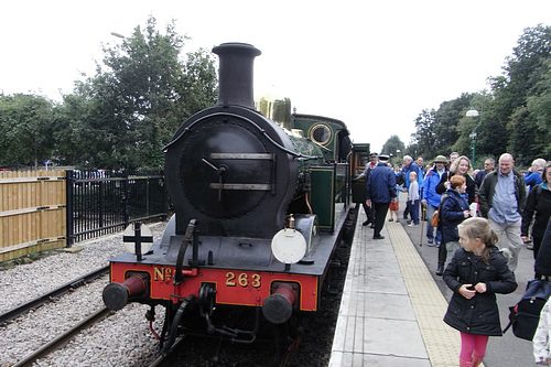 Bluebell Railway (September 2013)