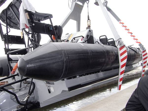 DSEI Exhibition 2011