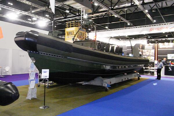 DSEI Exhibition 2013