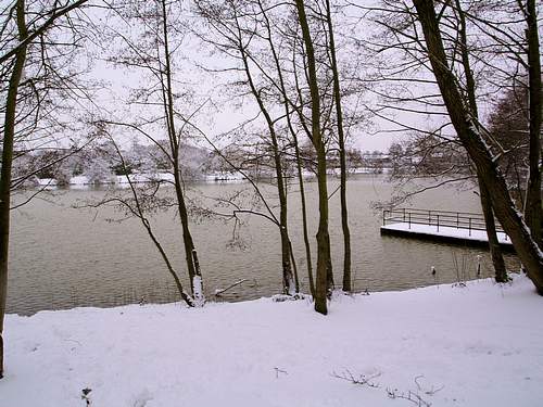 Snow Scene (February 2009)