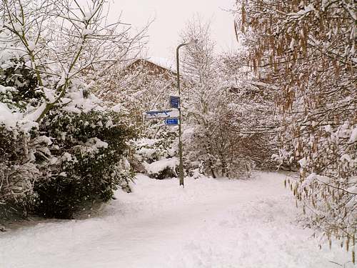 Snow Scene (February 2009)