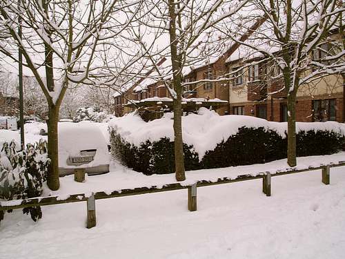Snow Scene (February 2009)