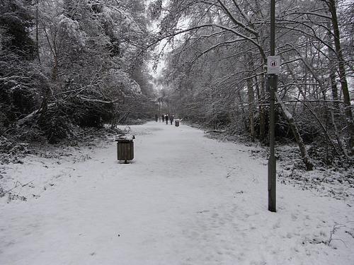 Snow Scene (January 2010)