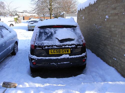Snow Scene (January 2010)