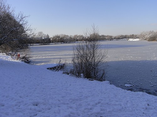 Snow Scene (January 2010)